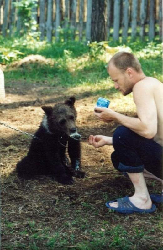 В России мужчину убил и съел его питомец-медведь