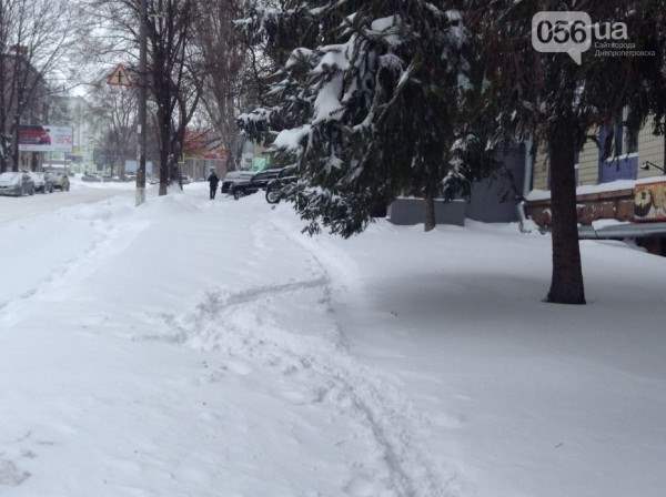 снег в днепропетровске 28 января 2014. 12