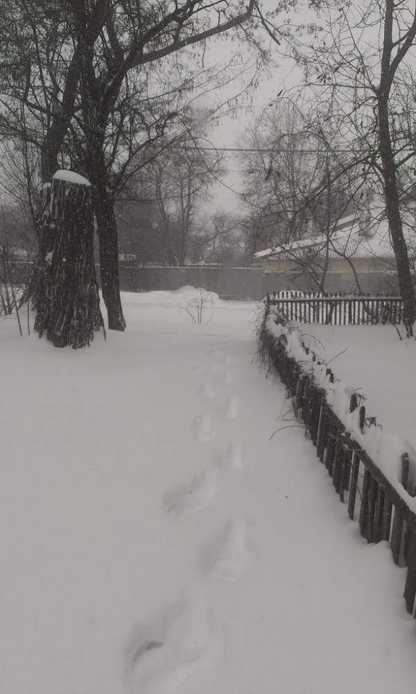 снег в днепропетровске 28 января 2014. 13