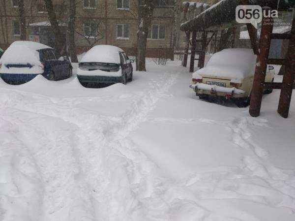 снег в днепропетровске 28 января 2014. 3