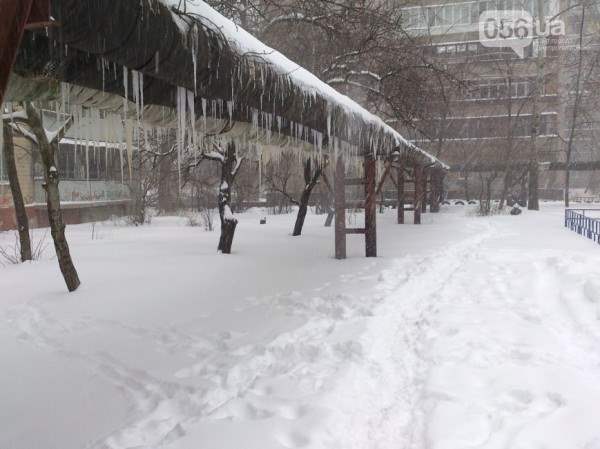 снег в днепропетровске 28 января 2014. 8