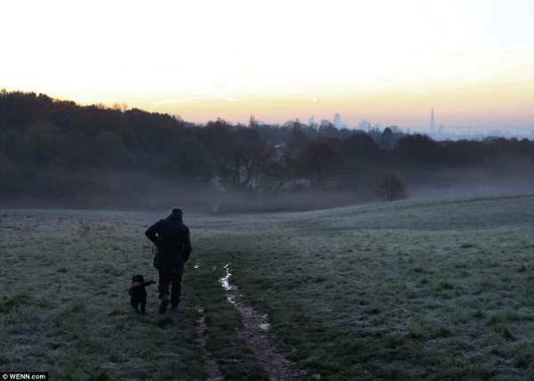 Мужчина выгуливает собаку в Хэмпстед-Хит