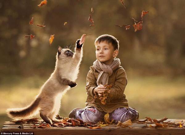 Мальчик с котом играют опавшими листьями.