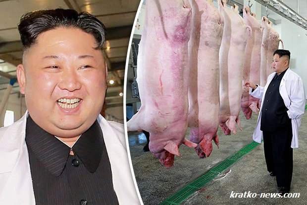 Ким Чен Ын свиньи