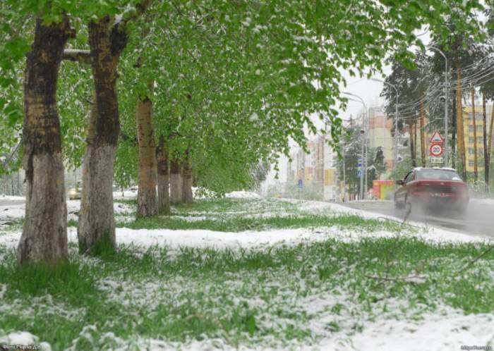 Снег Самарская область