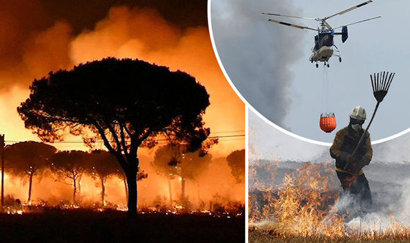 Doñana fire in Spain