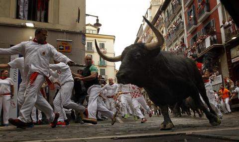 забег с быками в Испании