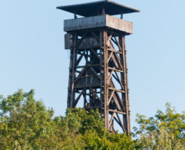 Башня Гёте