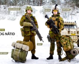 Норвегия Армия