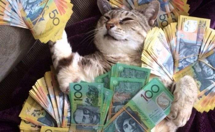 коты и деньги