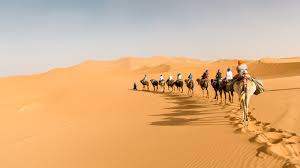 Сахара пустыня