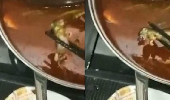 крыса в супе