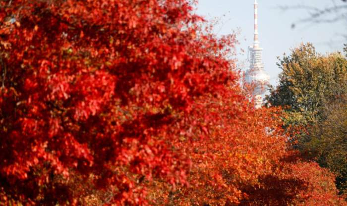 Осенний день в Берлине, Германия.