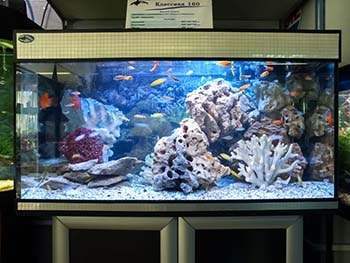 аквариумы на заказ