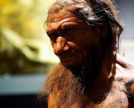 Неандертальцы Каннибализм