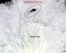 полынья антарктида