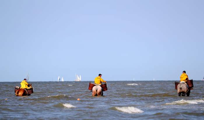 Рыбаки катаются на лошадях в море.