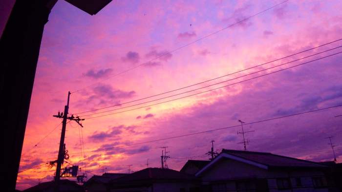 хагибис фиолетовое небо