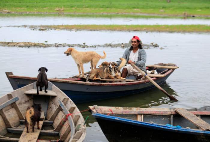 Мужчина с собаками на лодке
