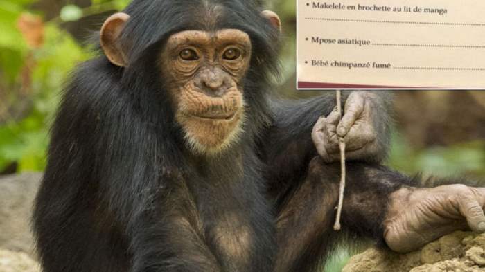 шимпанзе меню
