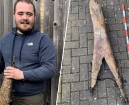 Мужчина нашел огромную кость