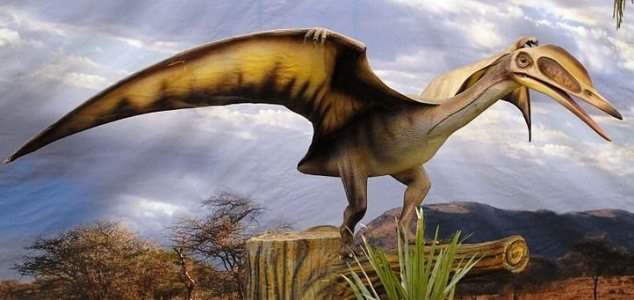 Сахара,птерозавры