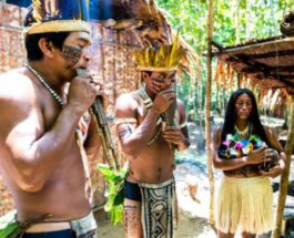 племена амазонка