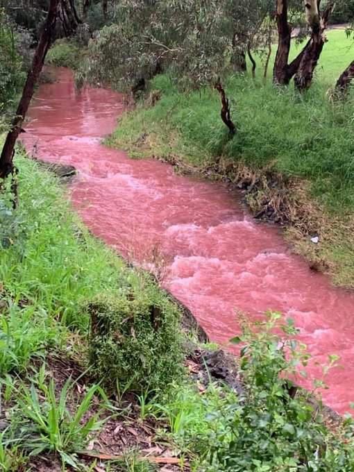 Вода стала розовой. Самая опасная река в мире. Красная река в Австралии. Чайная река в Австралии. Чайная река.