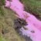 розовая река