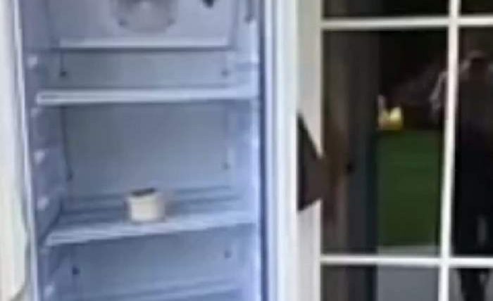 холодильник с секретом