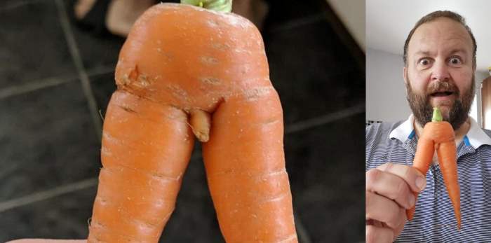 Морковка с хозяйством