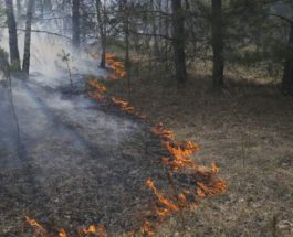 пожары Украина
