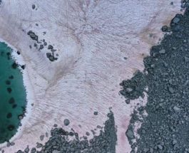 розовый ледник