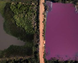 Лагуна,Парагвай,фиолетовая вода,