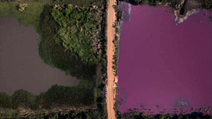Лагуна,Парагвай,фиолетовая вода,
