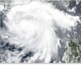 тайфун хигос