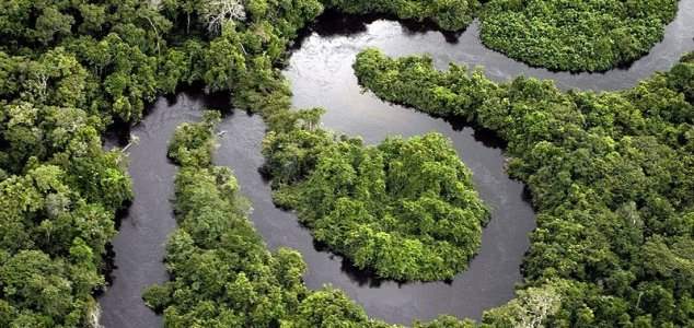 Амазонка,тропические леса,