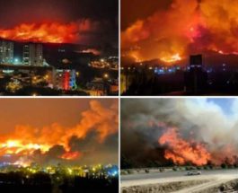 Пожары,Турция,Сирия,Израиль,