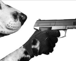 собака с пистолетом