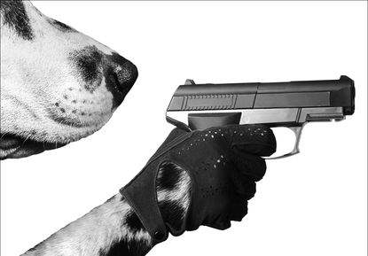 собака с пистолетом