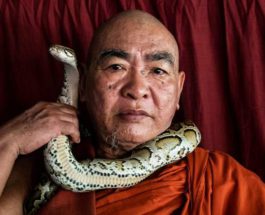 Монах, змеи, буддизм,
