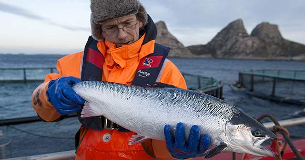 норвегия рыболовство