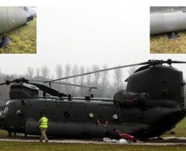 Chinook