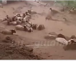наводнение марокко