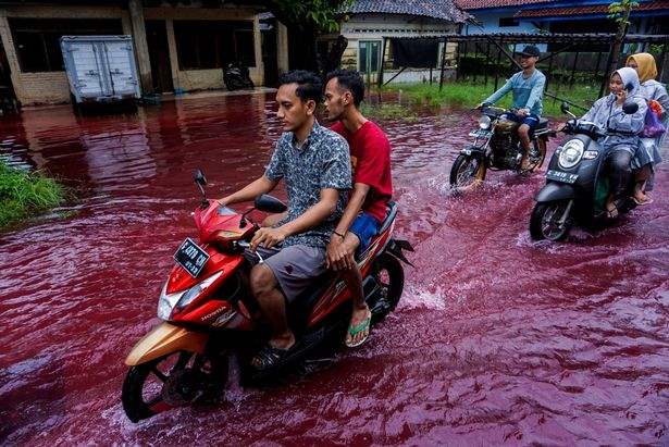 Индонезия, подтопление, красная вода, затопление,