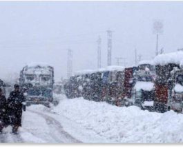 Кашмир, снег,