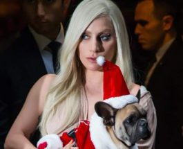 Леди Гага, собаки, похищение,