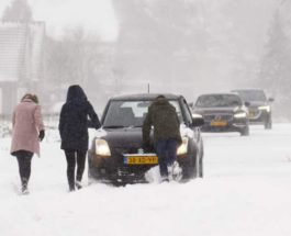 Нидерланды, снег, метель,