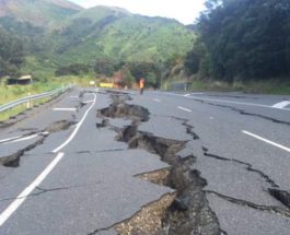 землетрясение новая зеландия