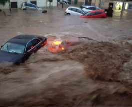 Турция, наводнение, погода,